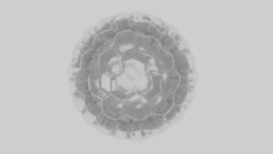 test1
